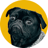 Image of undefined